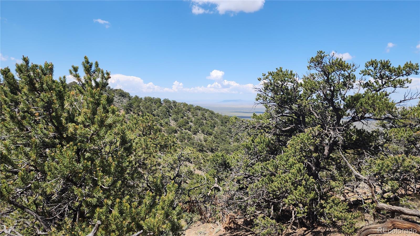 5039 Mamouche Road Fort Garland CO 81133