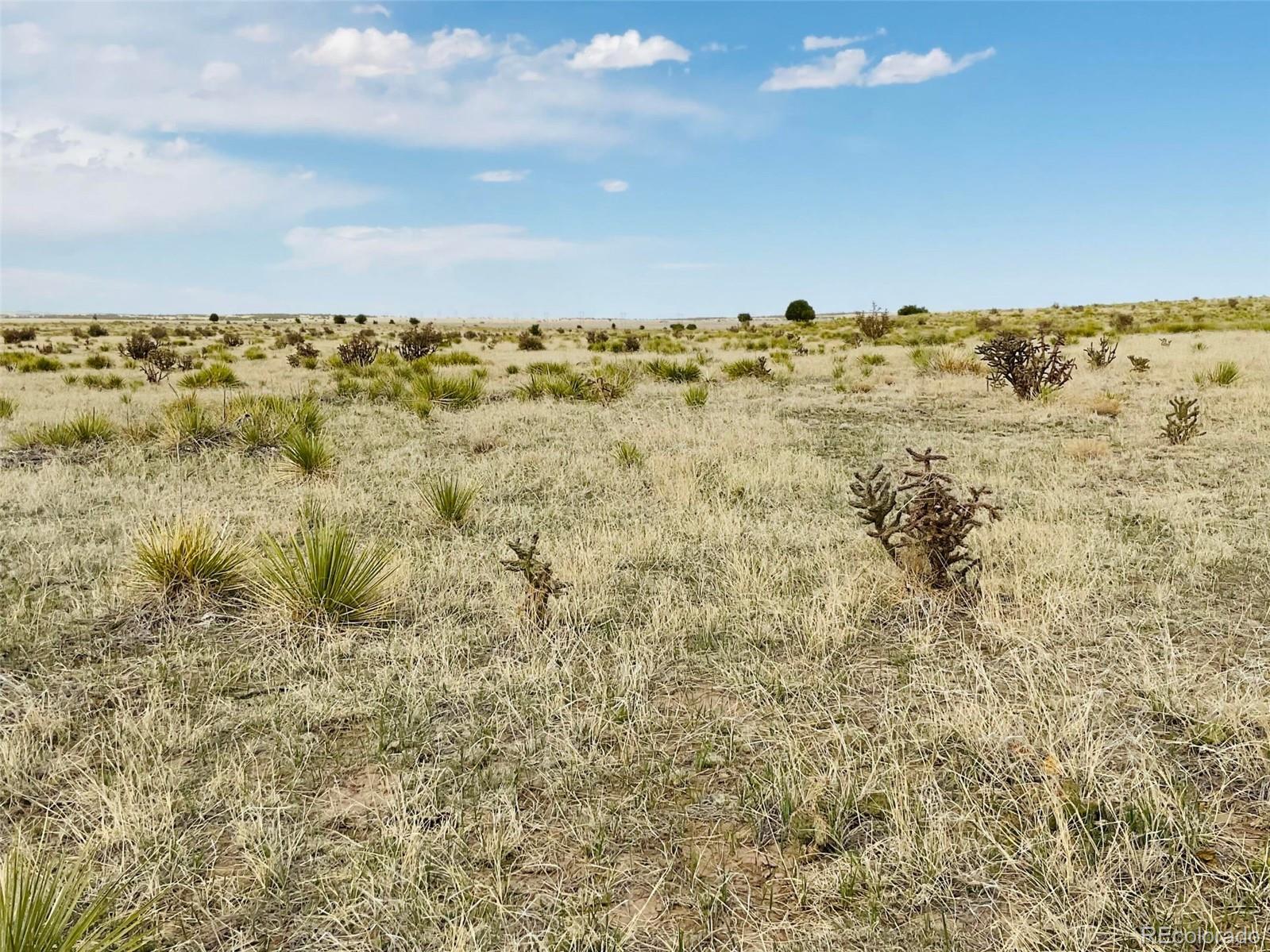Lot 234 Turkey Ridge Ranch Walsenburg CO 81089