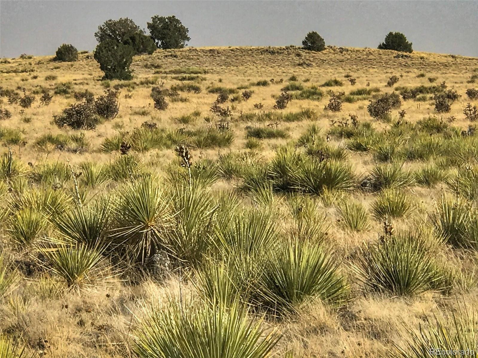 Lot 234 Turkey Ridge Ranch Walsenburg CO 81089