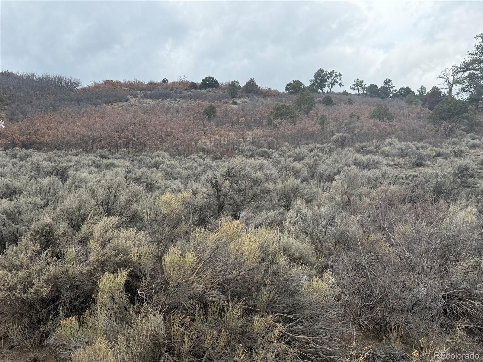 Lot 129 Flavin Lane Fort Garland CO 81133