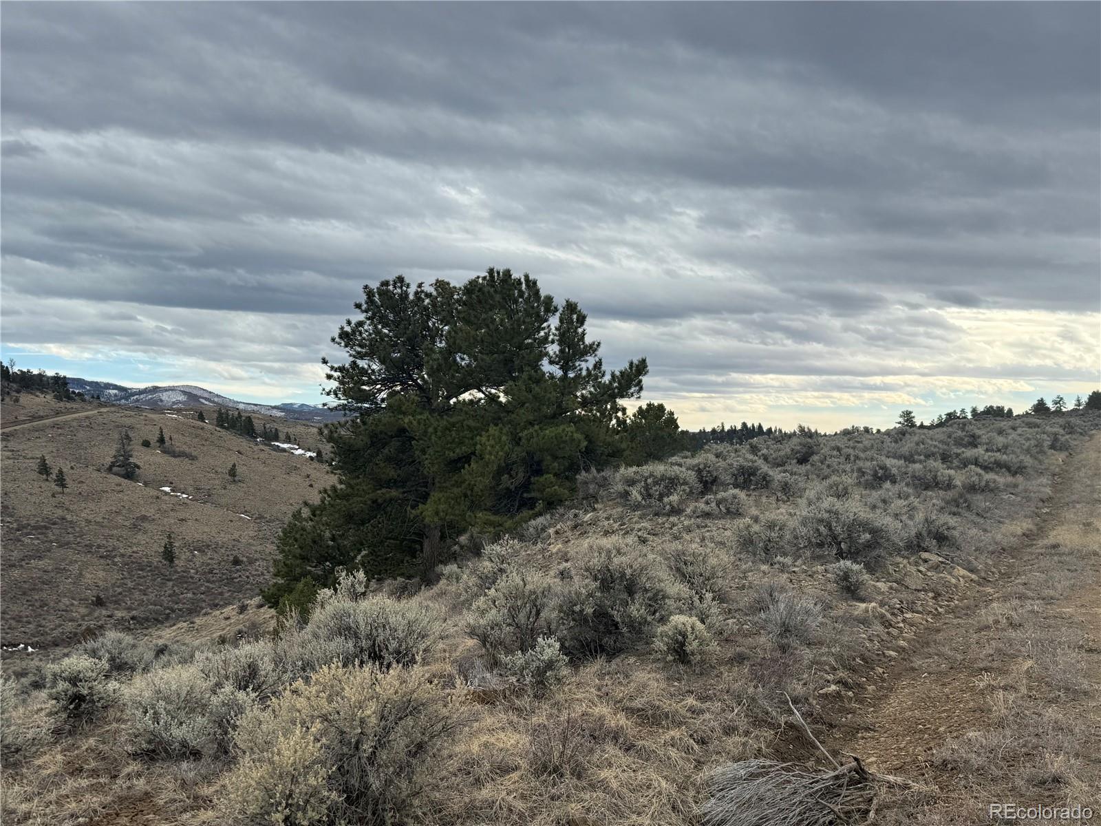 Lot 129 Flavin Lane Fort Garland CO 81133