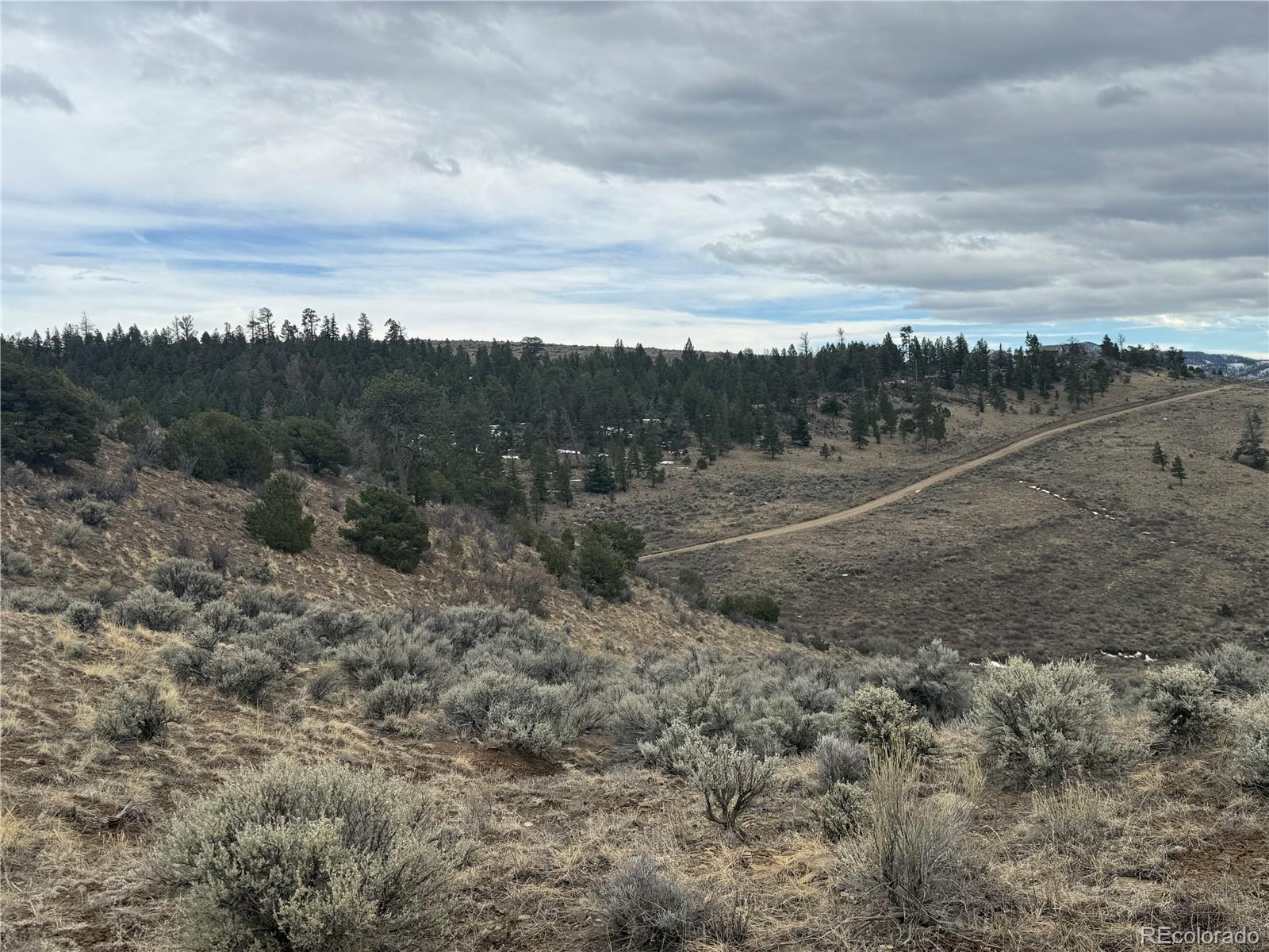 Lot 129 Flavin Lane Fort Garland CO 81133