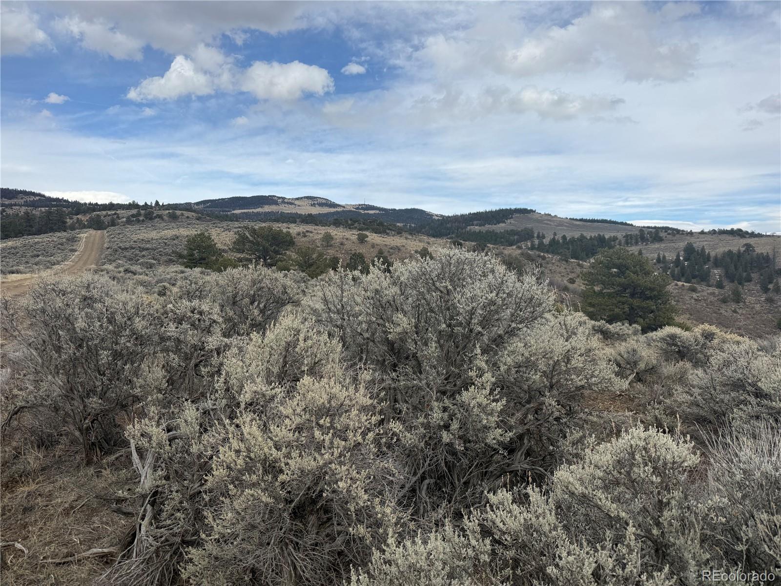 Lot 129 Flavin Lane Fort Garland CO 81133