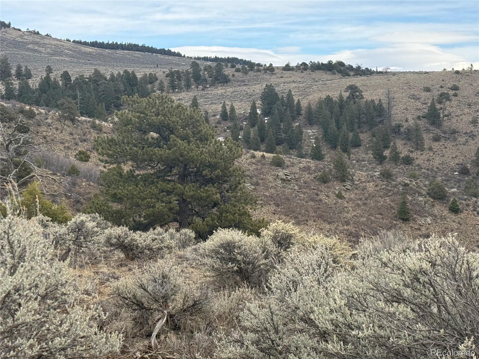 Lot 129 Flavin Lane Fort Garland CO 81133