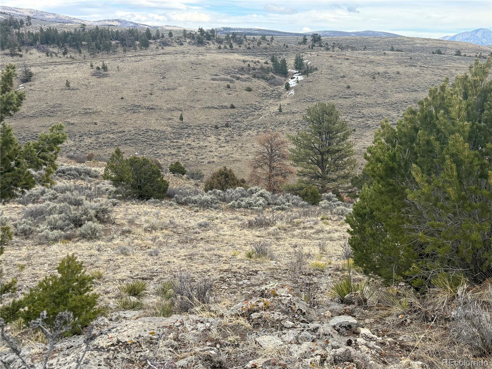 Lot 129 Flavin Lane Fort Garland CO 81133