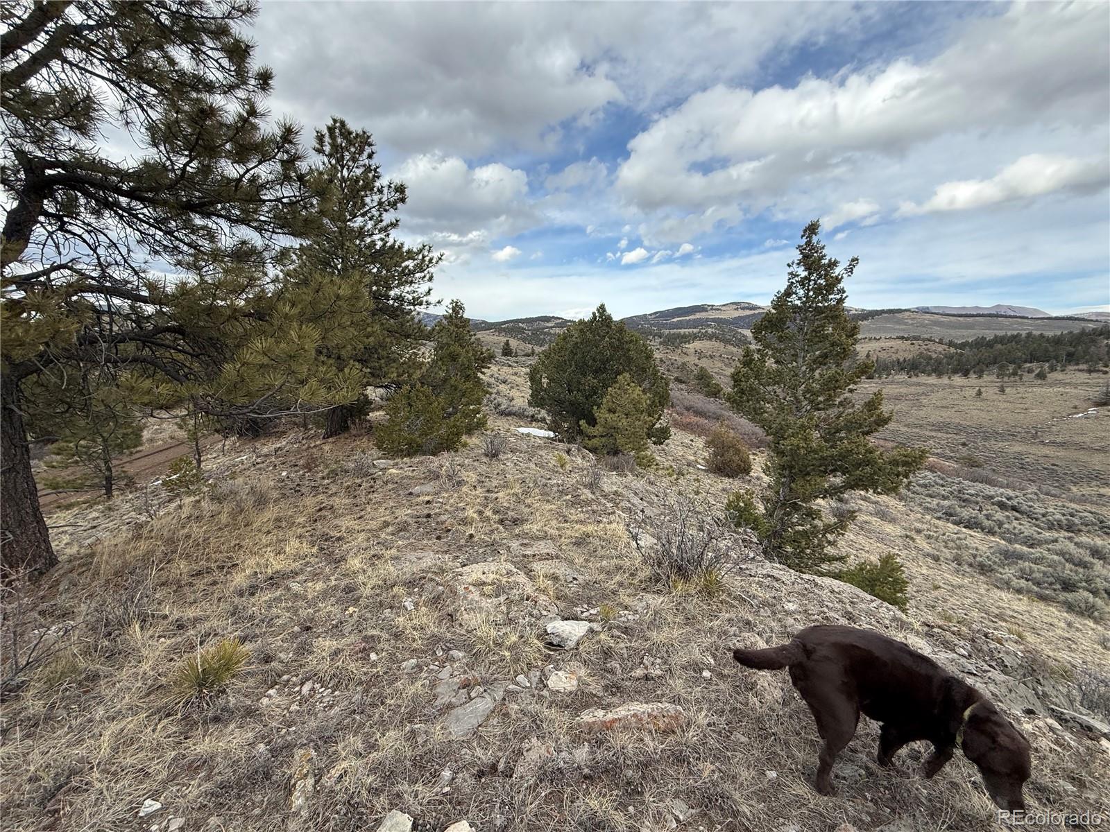 Lot 129 Flavin Lane Fort Garland CO 81133