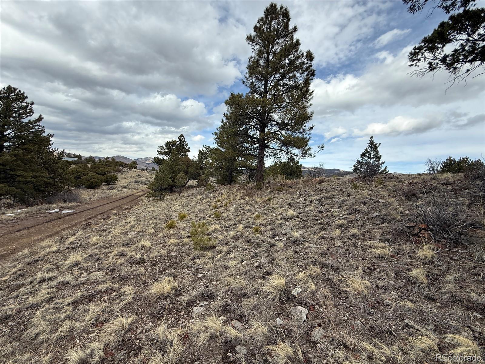 Lot 129 Flavin Lane Fort Garland CO 81133