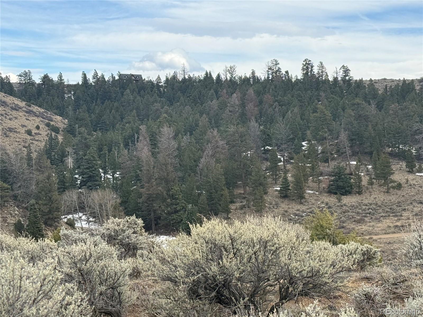 Lot 129 Flavin Lane Fort Garland CO 81133