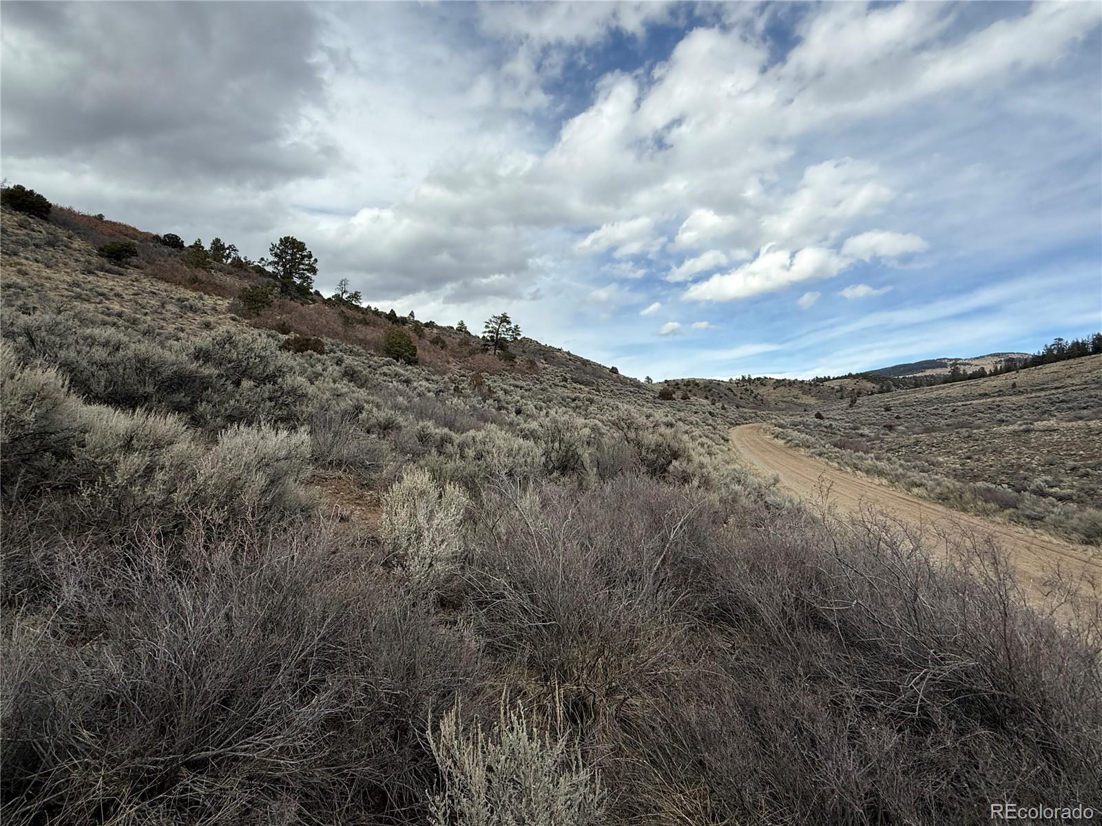 Lot 129 Flavin Lane Fort Garland CO 81133