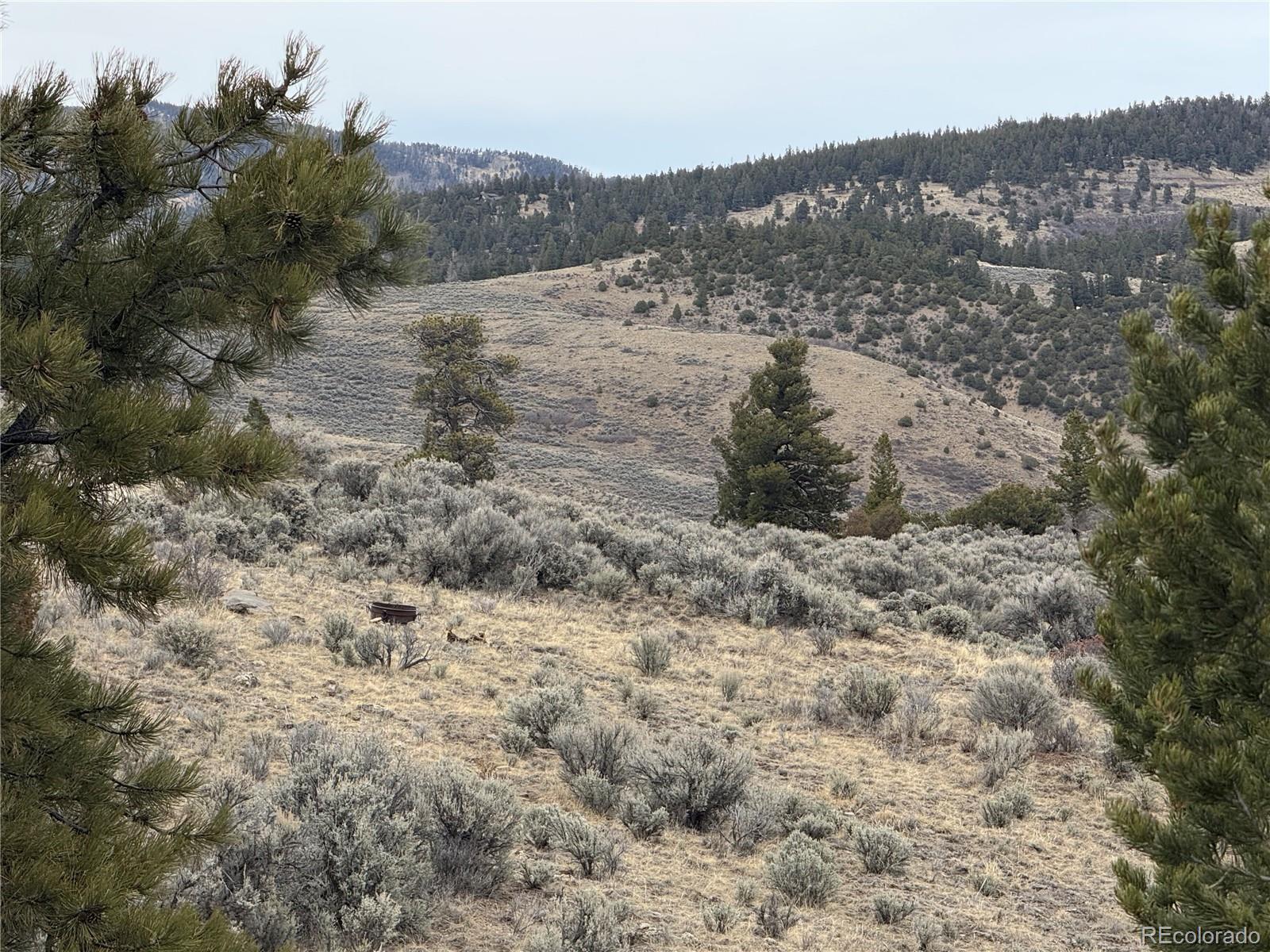 Lot 129 Flavin Lane Fort Garland CO 81133