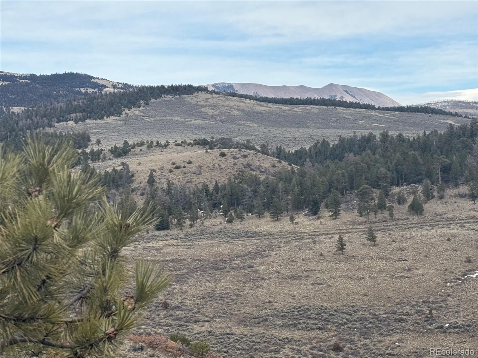 Lot 129 Flavin Lane Fort Garland CO 81133