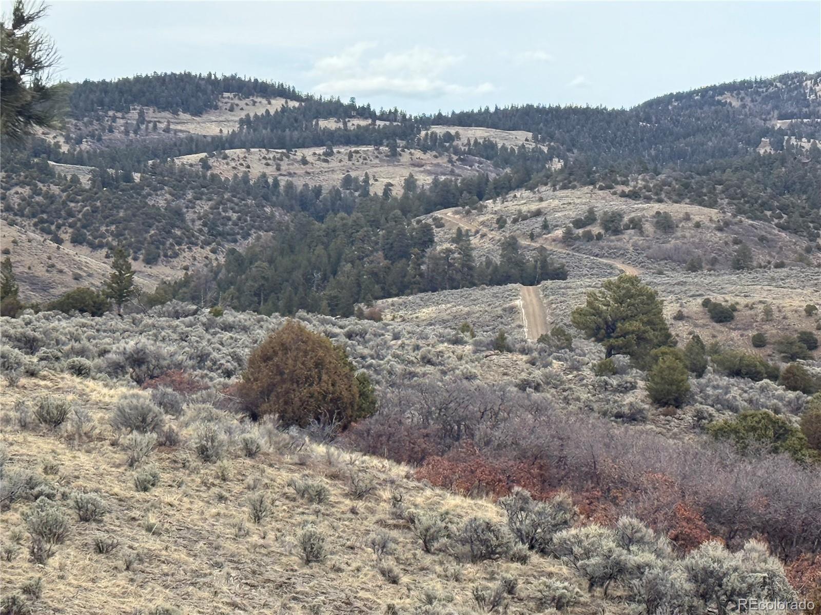 Lot 129 Flavin Lane Fort Garland CO 81133