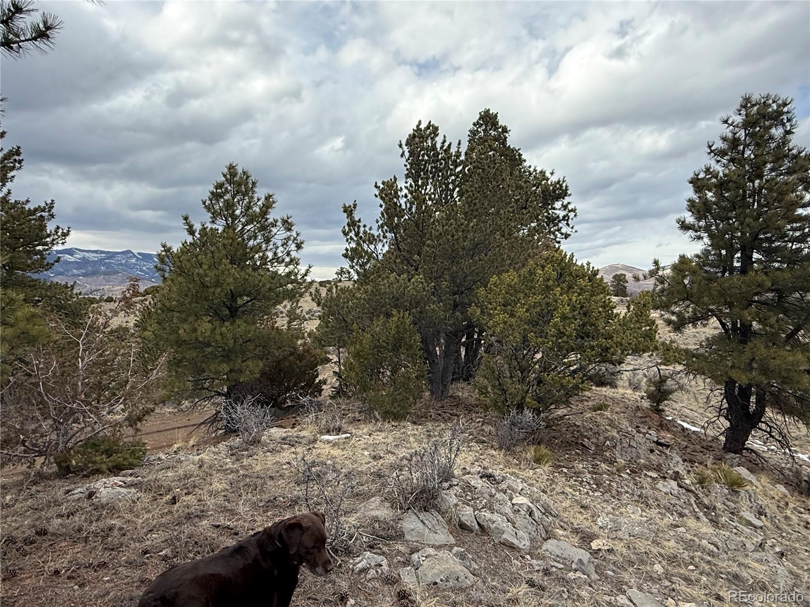 Lot 129 Flavin Lane Fort Garland CO 81133