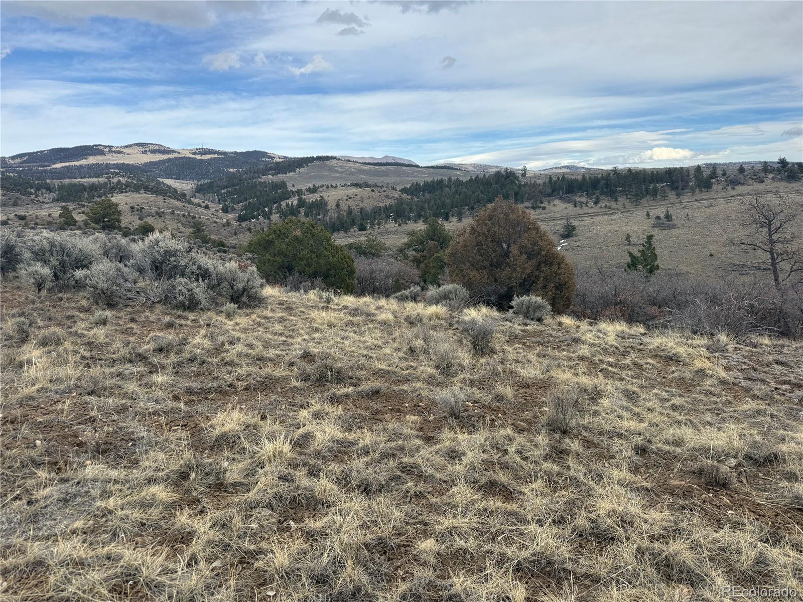 Lot 129 Flavin Lane Fort Garland CO 81133