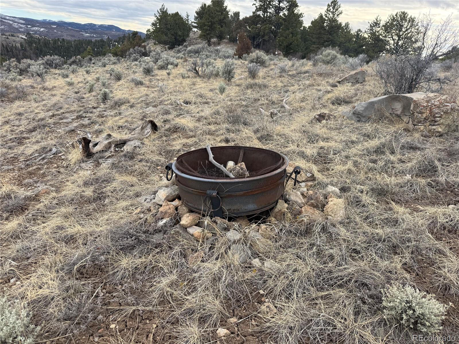 Lot 129 Flavin Lane Fort Garland CO 81133