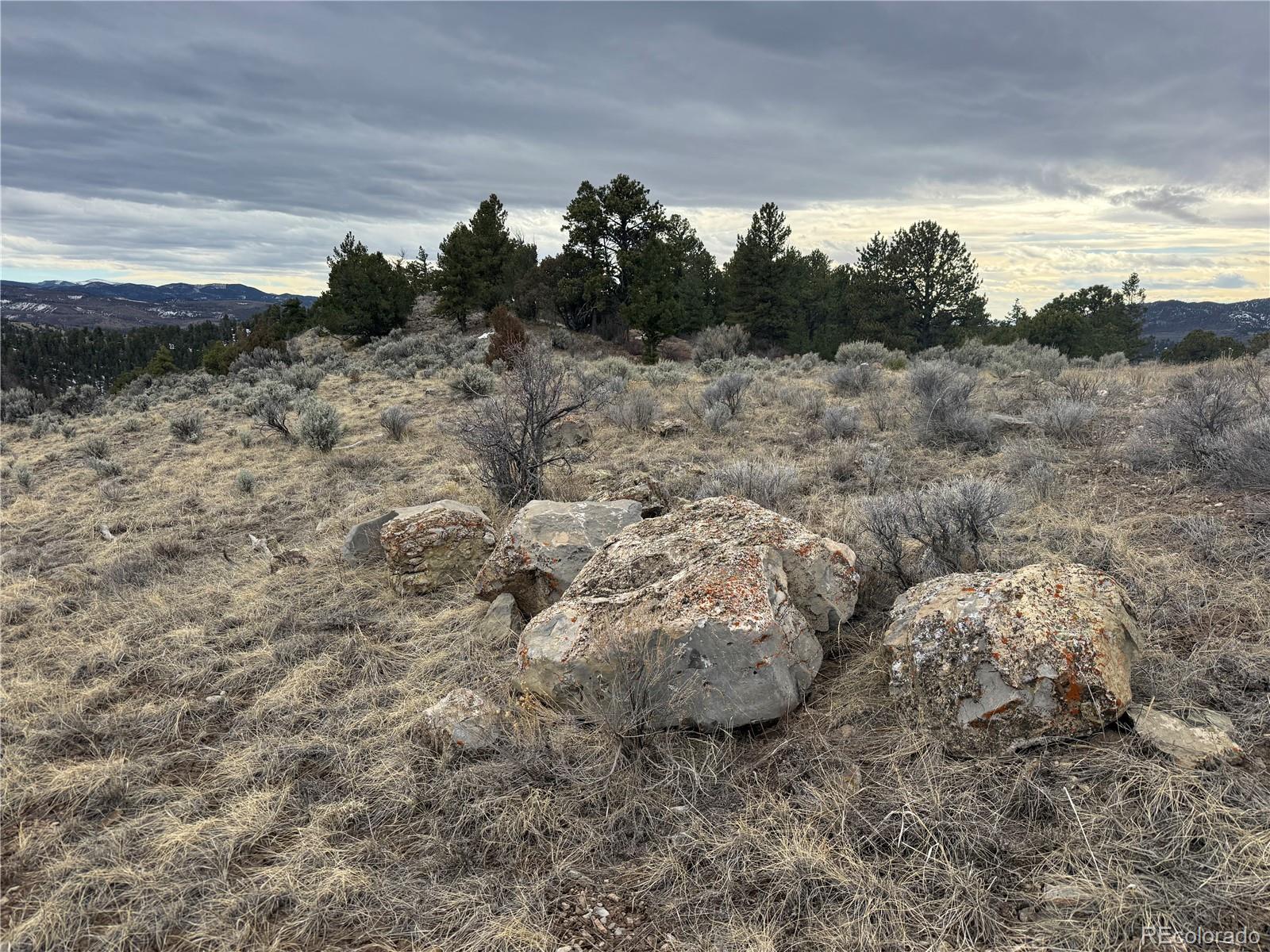 Lot 129 Flavin Lane Fort Garland CO 81133