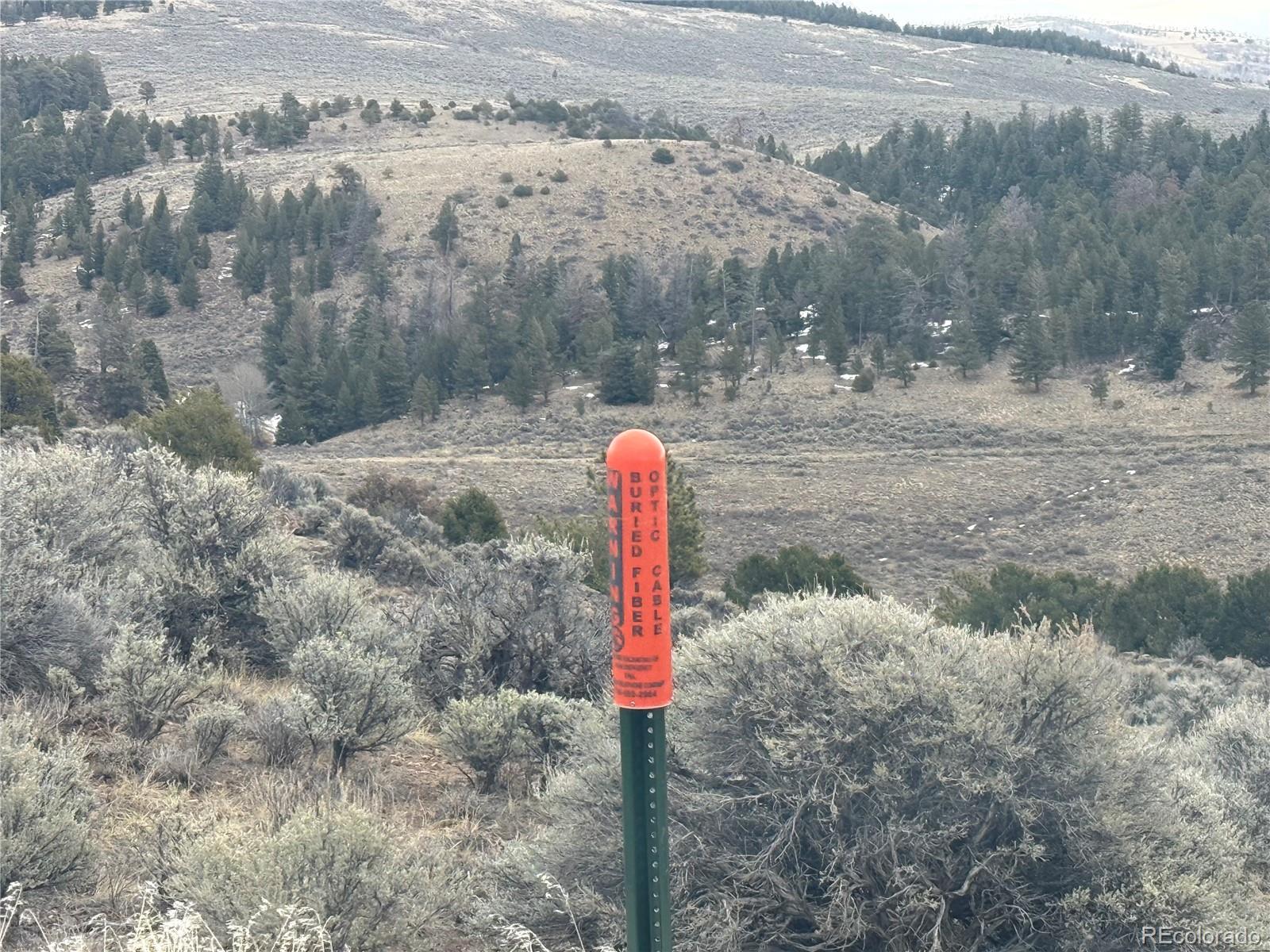 Lot 129 Flavin Lane Fort Garland CO 81133