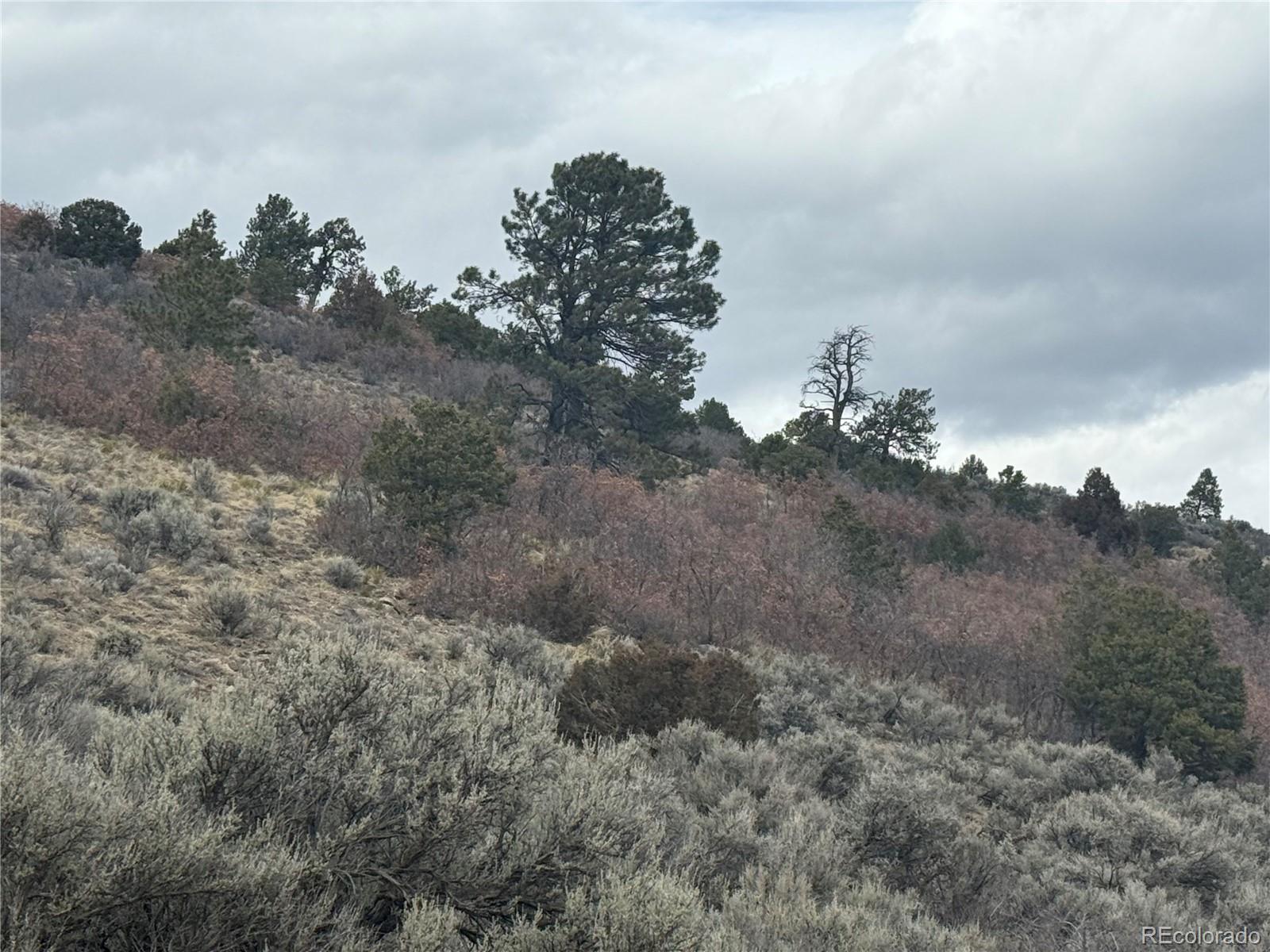 Lot 129 Flavin Lane Fort Garland CO 81133