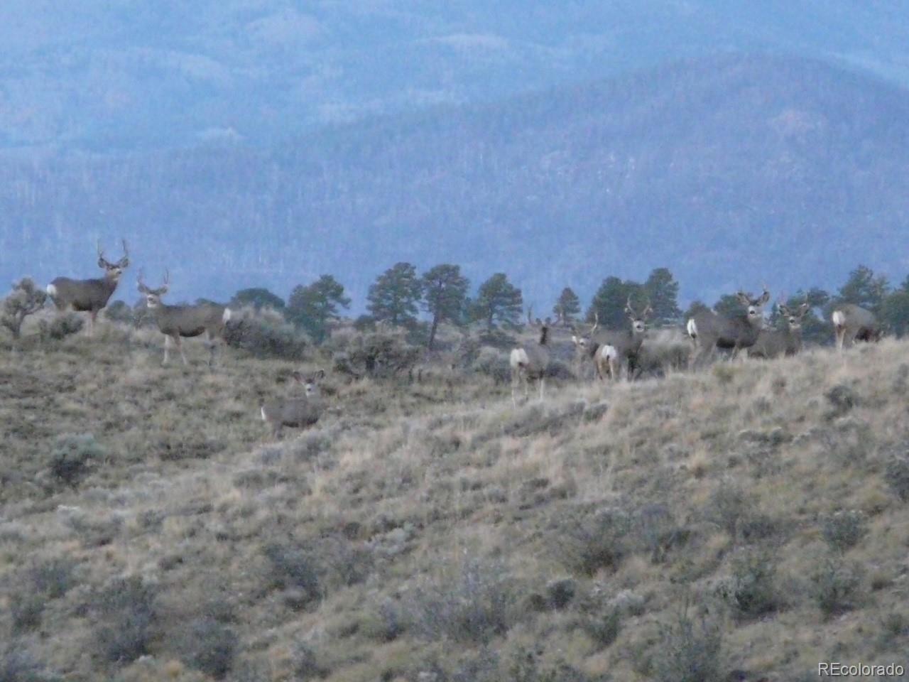 Lot 129 Flavin Lane Fort Garland CO 81133