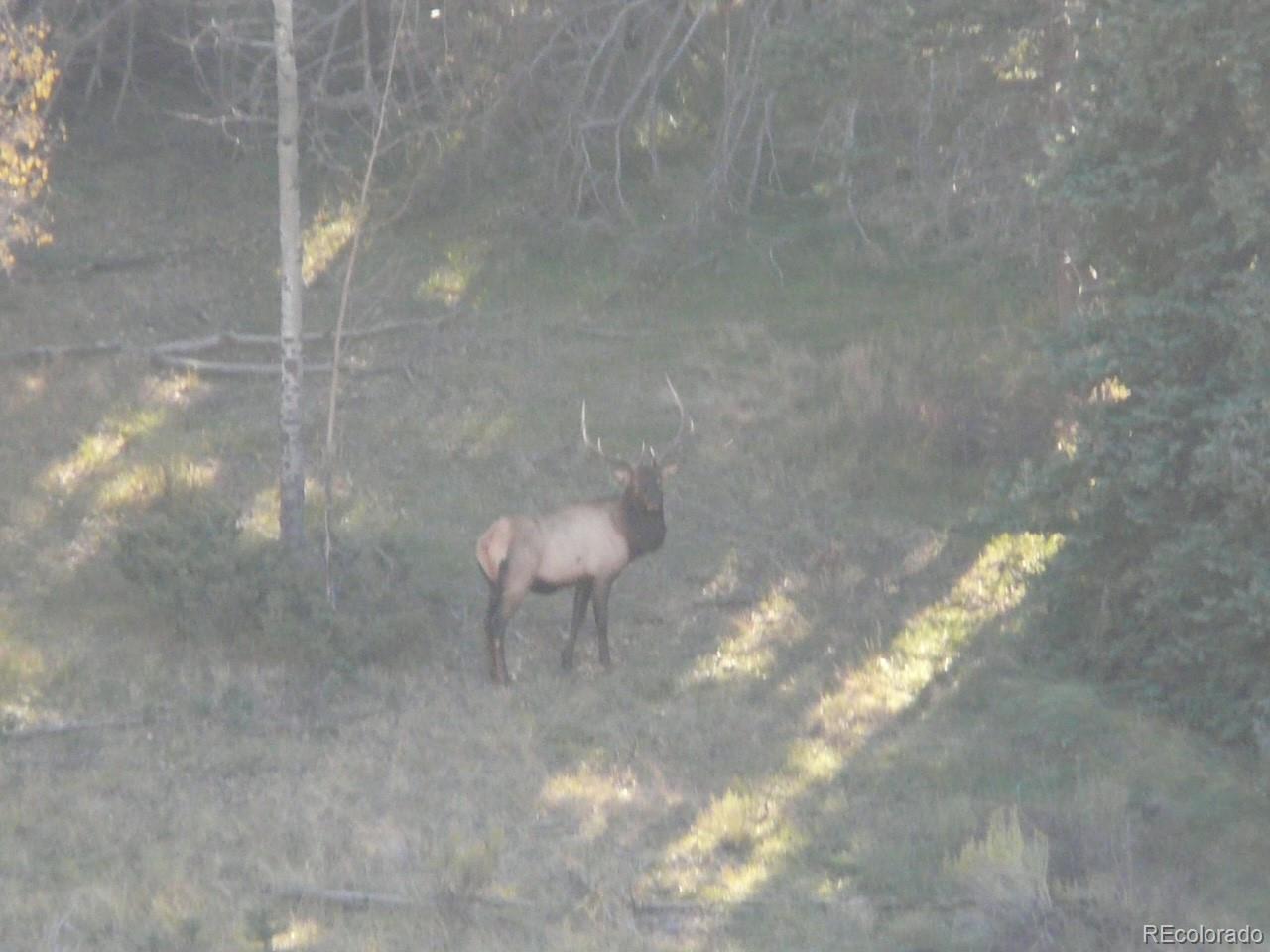 Lot 129 Flavin Lane Fort Garland CO 81133