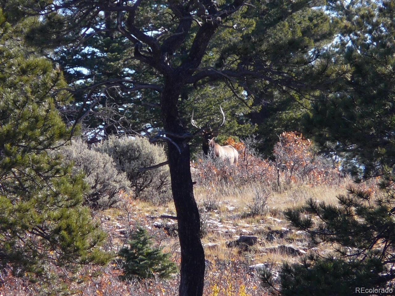 Lot 129 Flavin Lane Fort Garland CO 81133