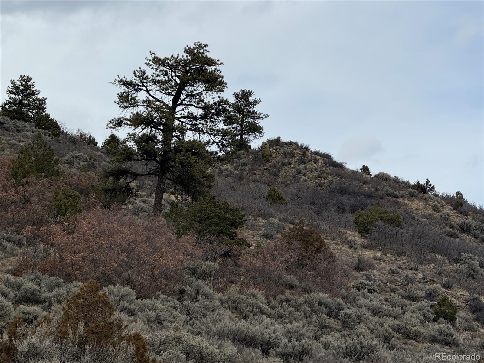 Lot 129 Flavin Lane Fort Garland CO 81133