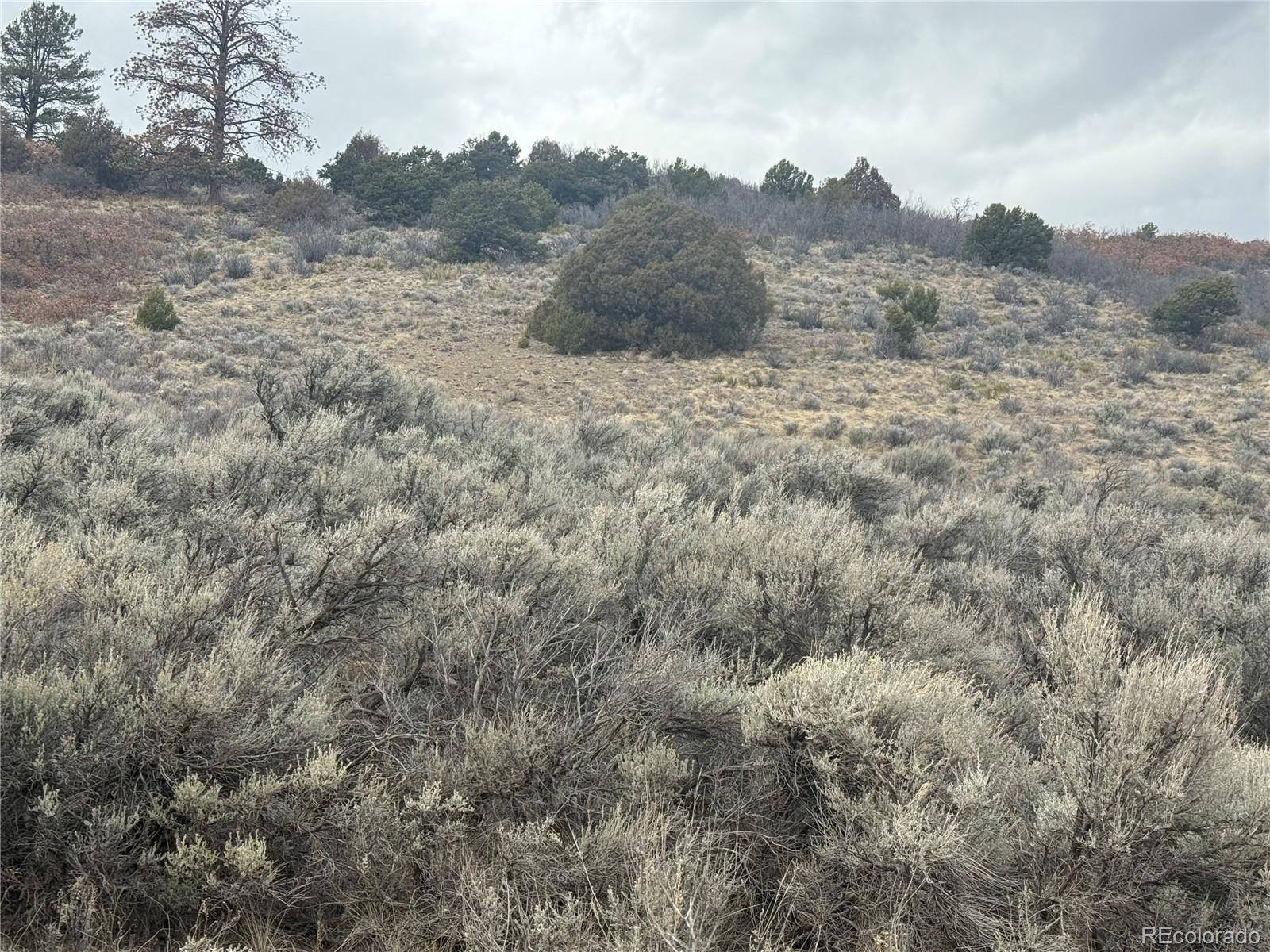 Lot 129 Flavin Lane Fort Garland CO 81133