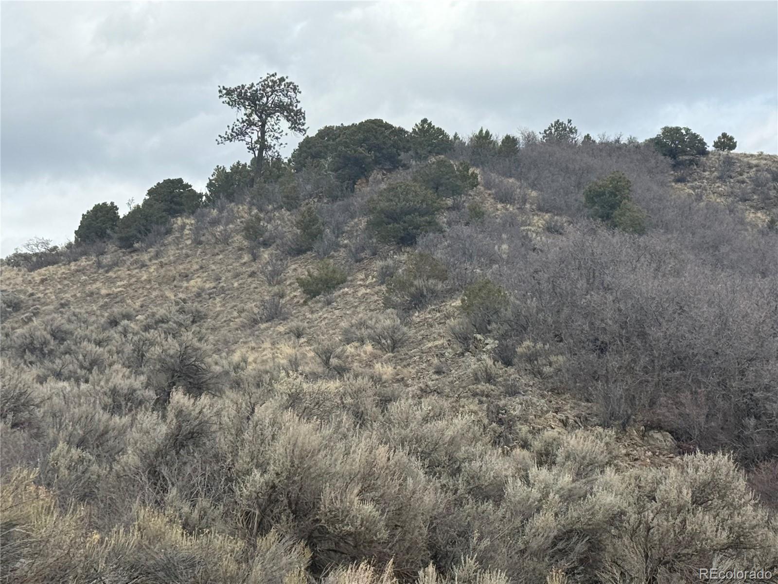 Lot 129 Flavin Lane Fort Garland CO 81133