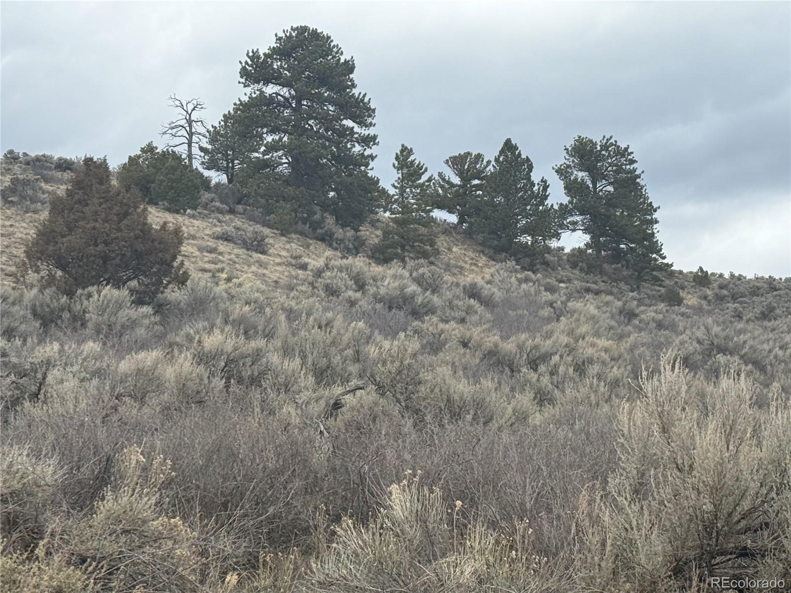 Lot 129 Flavin Lane Fort Garland CO 81133