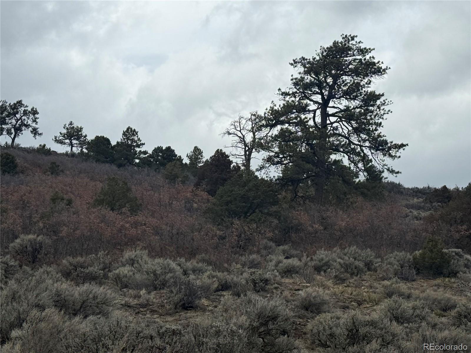 Lot 129 Flavin Lane Fort Garland CO 81133