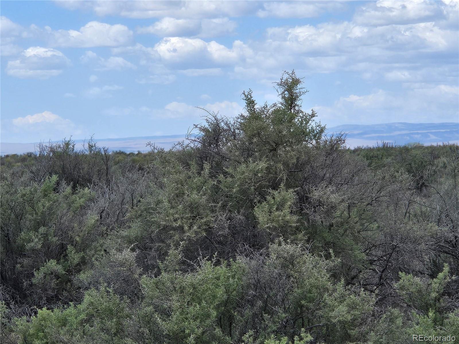 S. County Road 103 Alamosa CO 81101