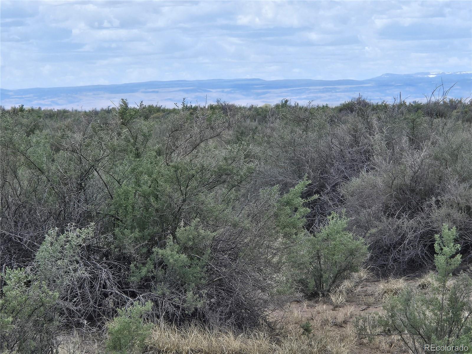 S. County Road 103 Alamosa CO 81101