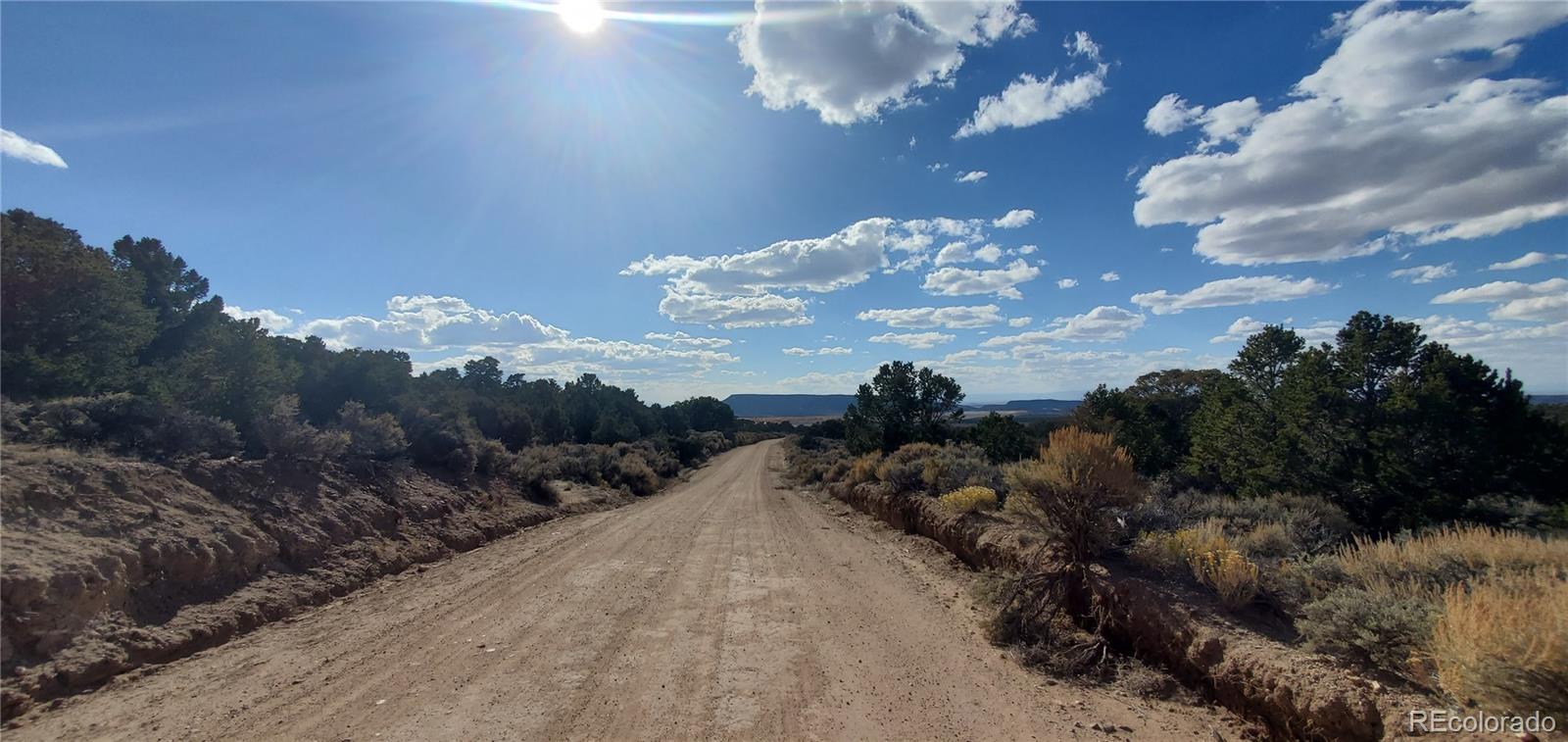 7060 Pamplin Road Fort Garland CO 81133