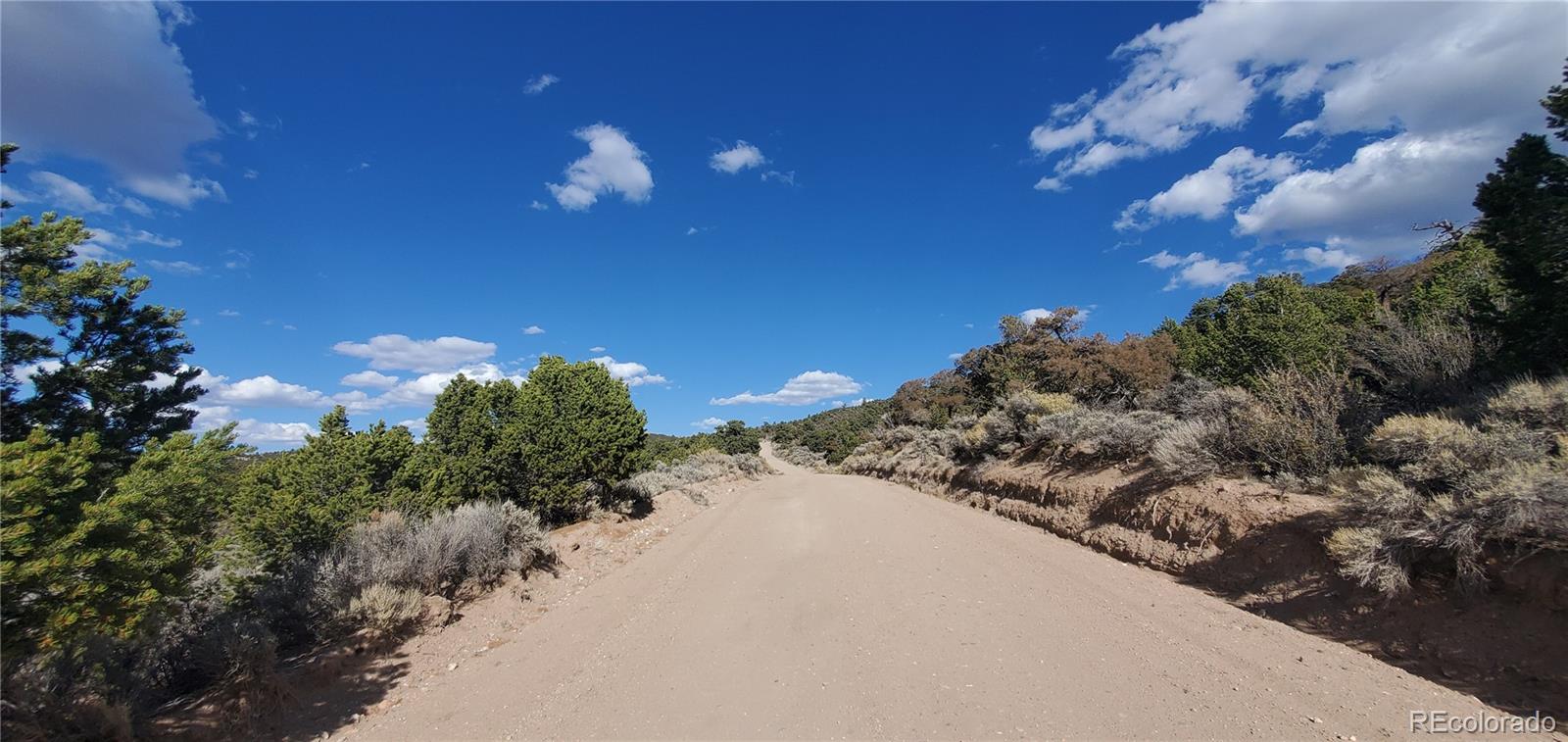 7060 Pamplin Road Fort Garland CO 81133
