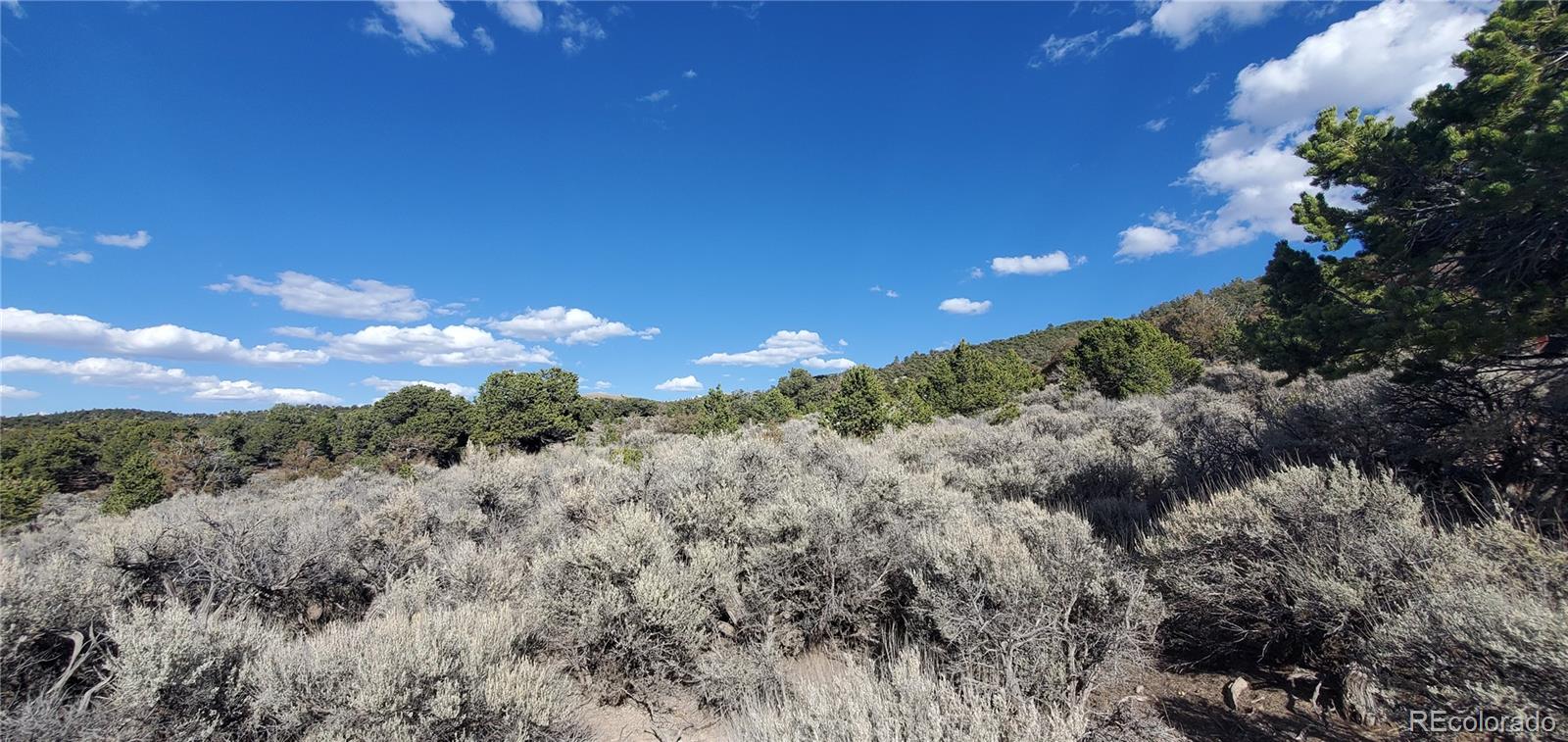 7060 Pamplin Road Fort Garland CO 81133
