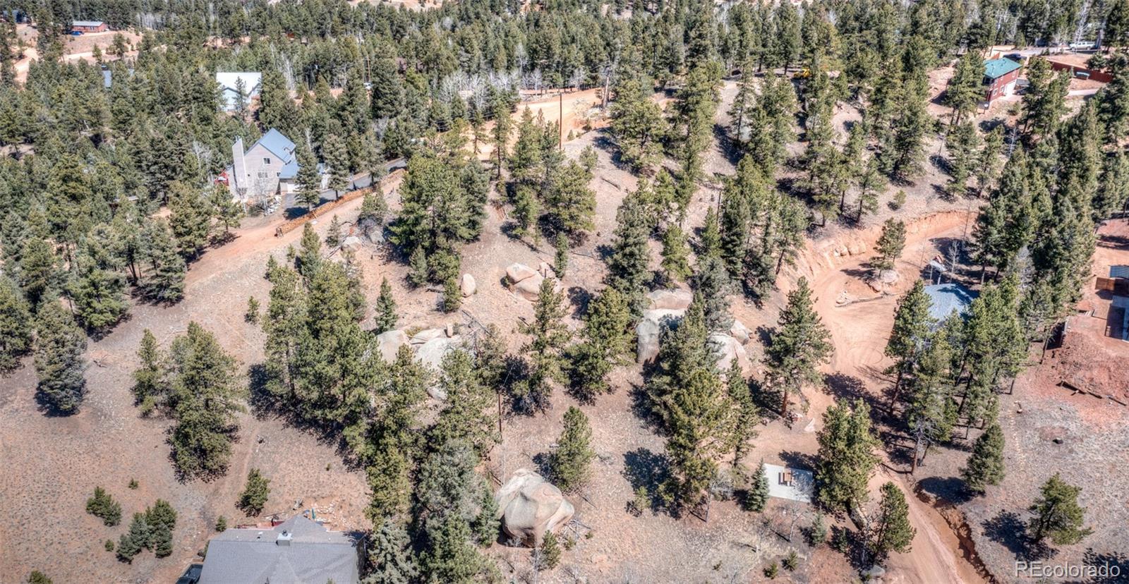 110 La Abu Trail Florissant CO 80816