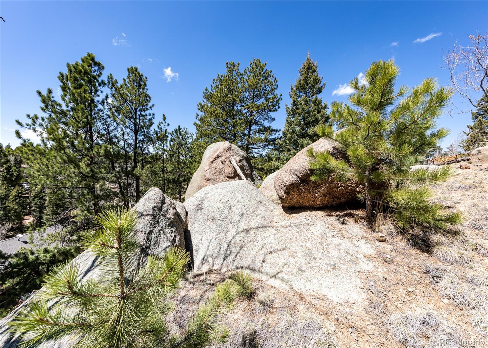 110 La Abu Trail Florissant CO 80816
