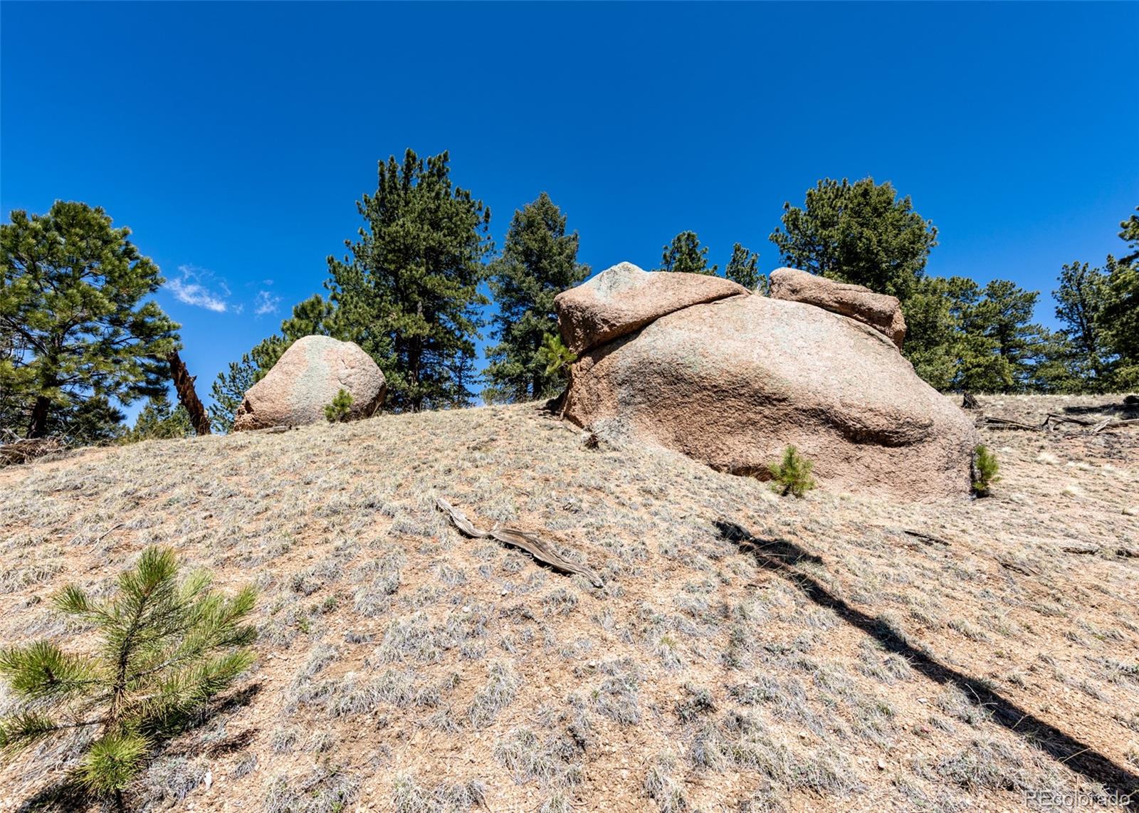 110 La Abu Trail Florissant CO 80816
