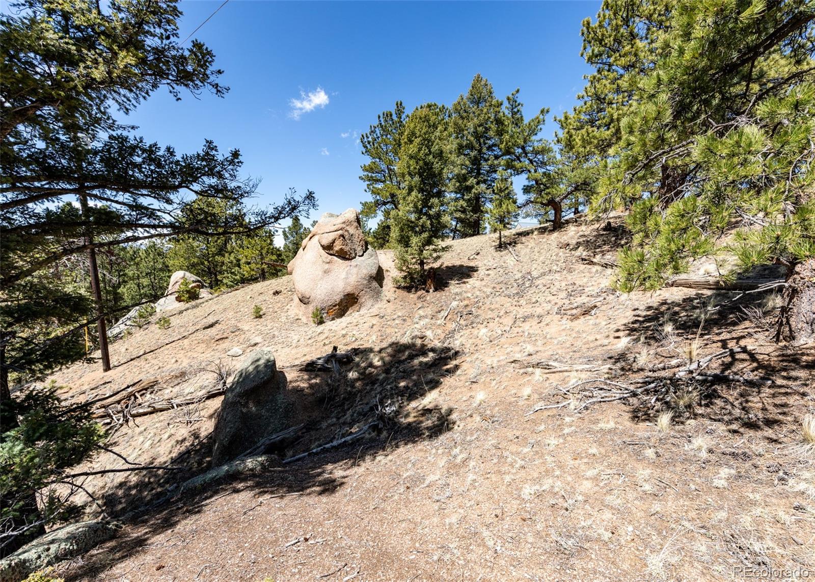 110 La Abu Trail Florissant CO 80816