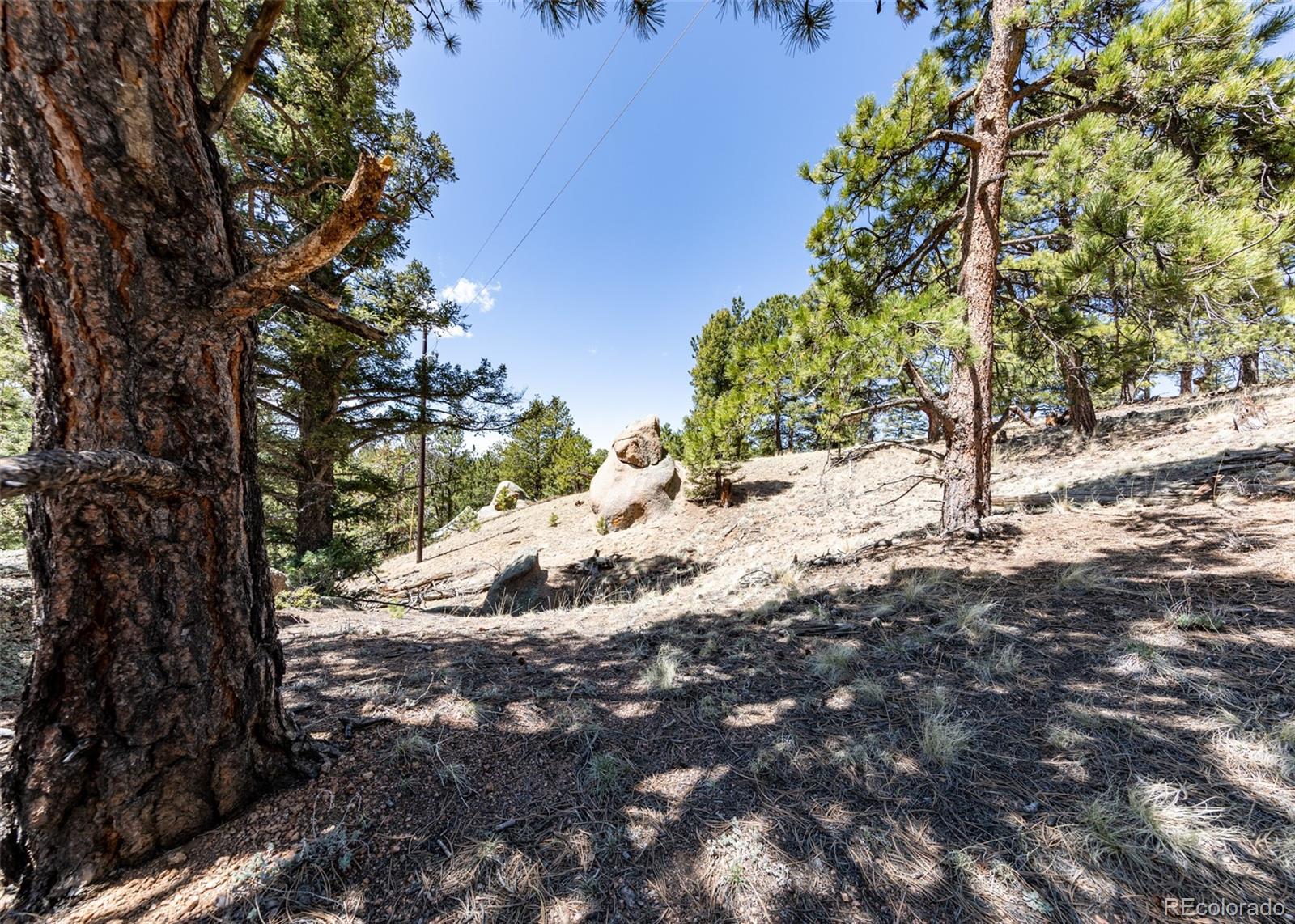 110 La Abu Trail Florissant CO 80816
