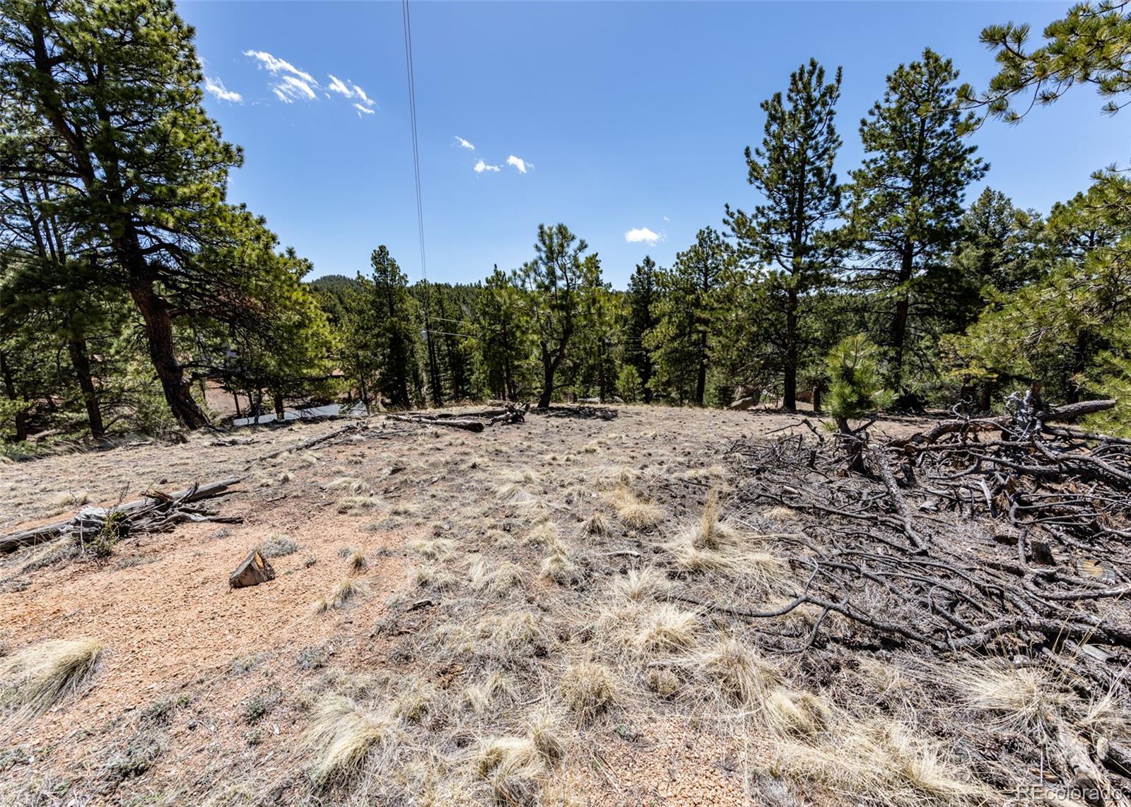 110 La Abu Trail Florissant CO 80816
