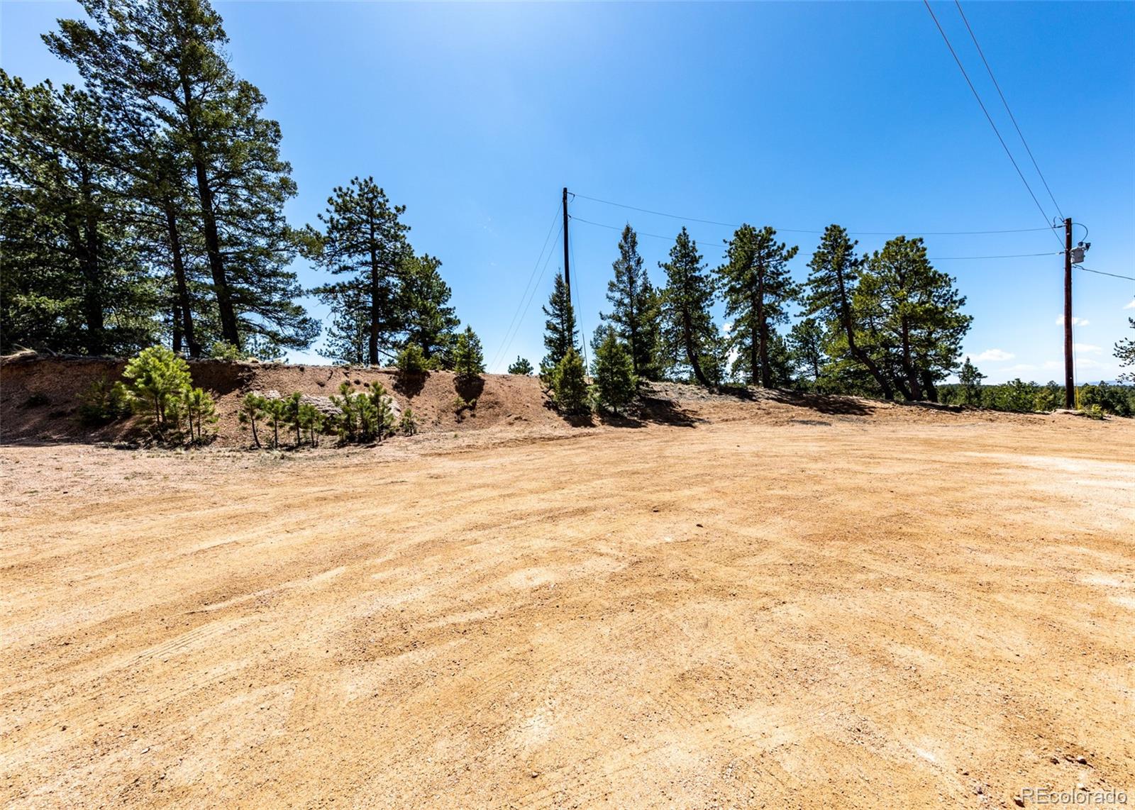 110 La Abu Trail Florissant CO 80816