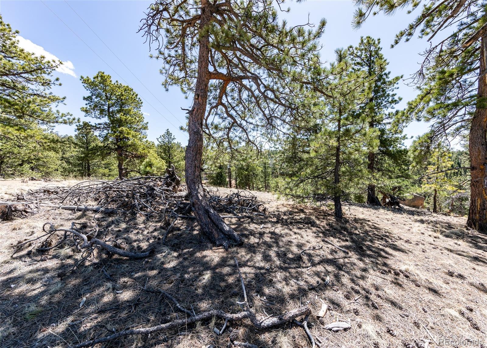 110 La Abu Trail Florissant CO 80816