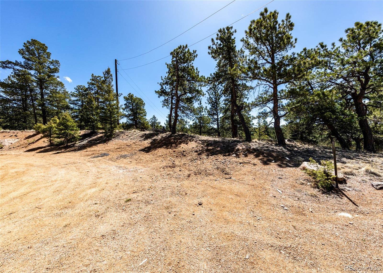 110 La Abu Trail Florissant CO 80816