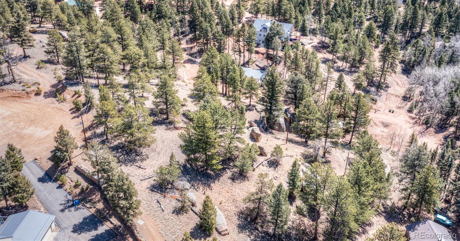 110 La Abu Trail Florissant CO 80816