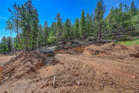 4501 County Road 72 Bailey CO 80421