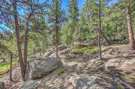 4501 County Road 72 Bailey CO 80421