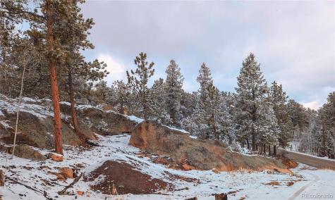 4501 County Road 72 Bailey CO 80421