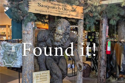 4501 County Road 72 Bailey CO 80421