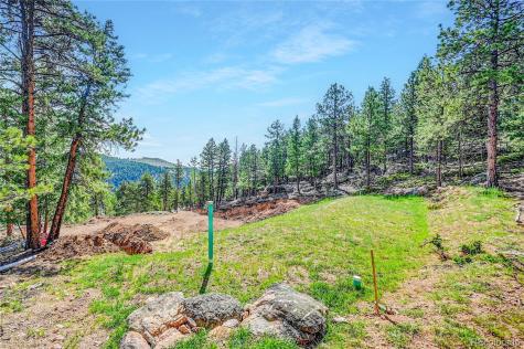 4501 County Road 72 Bailey CO 80421